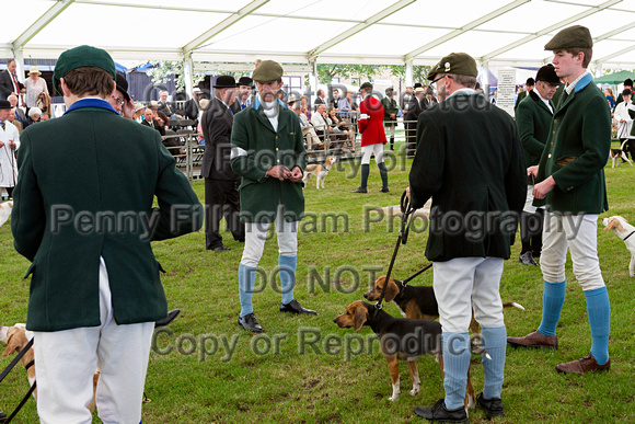 Festival_of_Hunting_Peterborough_16th_July_2014.009
