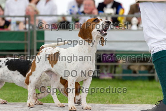 Festival_of_Hunting_Peterborough_16th_July_2014.175