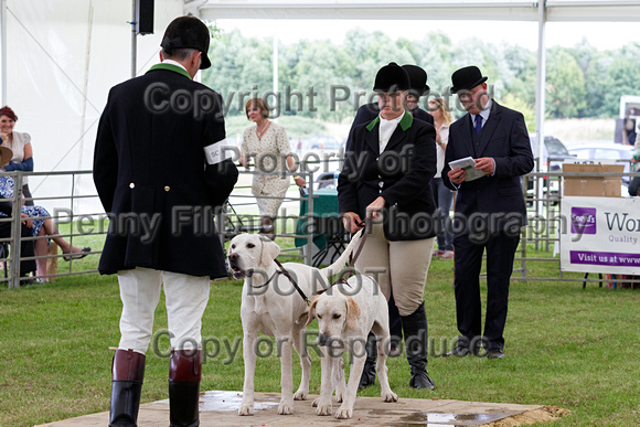 Festival_of_Hunting_Peterborough_16th_July_2014.166