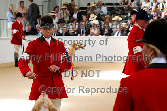 Festival_of_Hunting_Peterborough_16th_July_2014.105