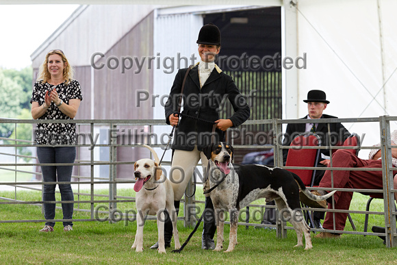 Festival_of_Hunting_Peterborough_16th_July_2014.204