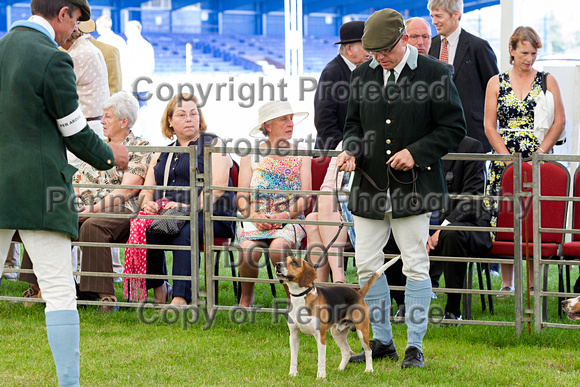 Festival_of_Hunting_Peterborough_16th_July_2014.065