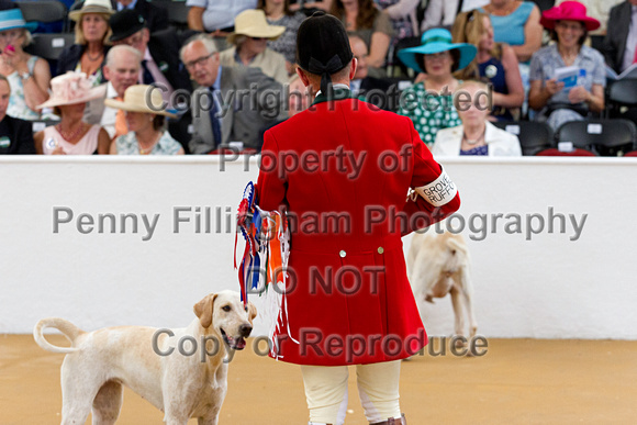 Festival_of_Hunting_Peterborough_16th_July_2014.198