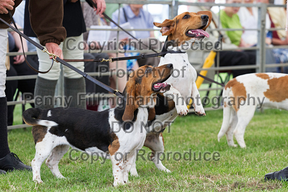 Festival_of_Hunting_Peterborough_16th_July_2014.181