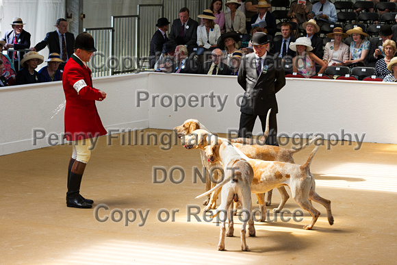 Festival_of_Hunting_Peterborough_16th_July_2014.089