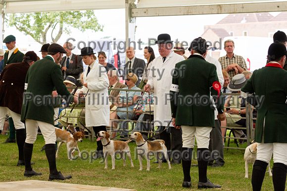 Festival_of_Hunting_Peterborough_16th_July_2014.206