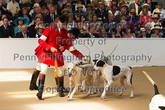 Festival_of_Hunting_Peterborough_16th_July_2014.048