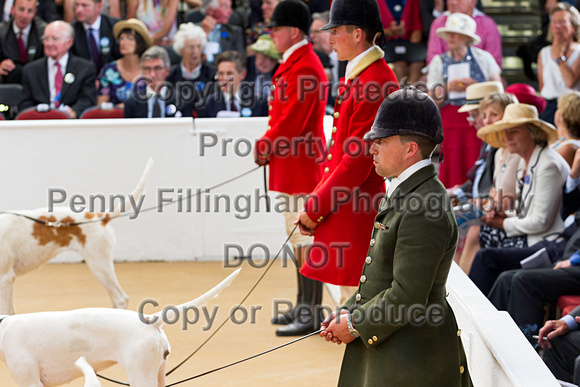 Festival_of_Hunting_Peterborough_16th_July_2014.239