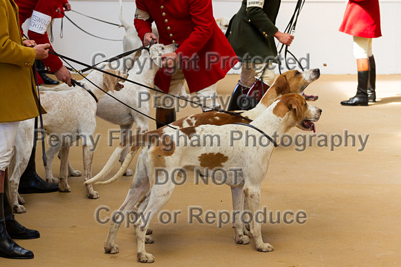 Festival_of_Hunting_Peterborough_16th_July_2014.043