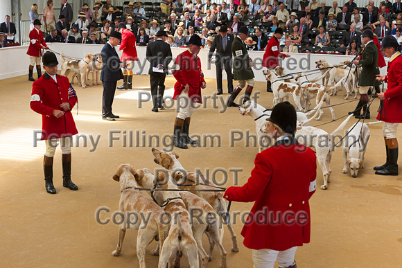 Festival_of_Hunting_Peterborough_16th_July_2014.104