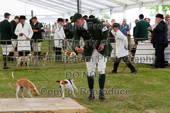 Festival_of_Hunting_Peterborough_16th_July_2014.219