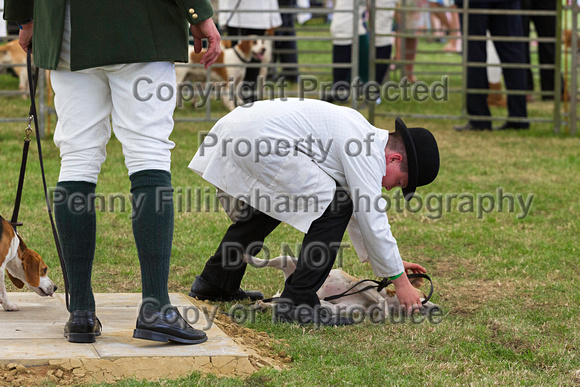 Festival_of_Hunting_Peterborough_16th_July_2014.220
