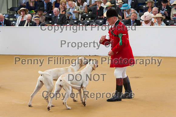 Festival_of_Hunting_Peterborough_16th_July_2014.195
