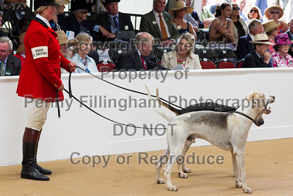 Festival_of_Hunting_Peterborough_16th_July_2014.141