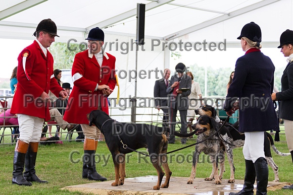 Festival_of_Hunting_Peterborough_16th_July_2014.167
