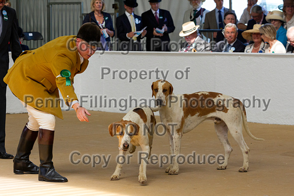 Festival_of_Hunting_Peterborough_16th_July_2014.031
