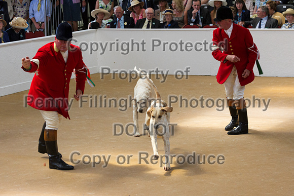 Festival_of_Hunting_Peterborough_16th_July_2014.133