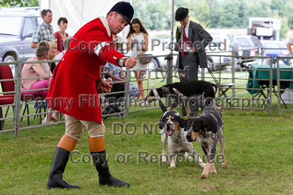 Festival_of_Hunting_Peterborough_16th_July_2014.156