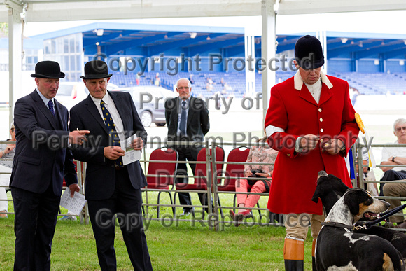 Festival_of_Hunting_Peterborough_16th_July_2014.163