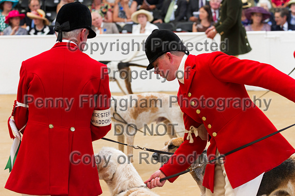 Festival_of_Hunting_Peterborough_16th_July_2014.120