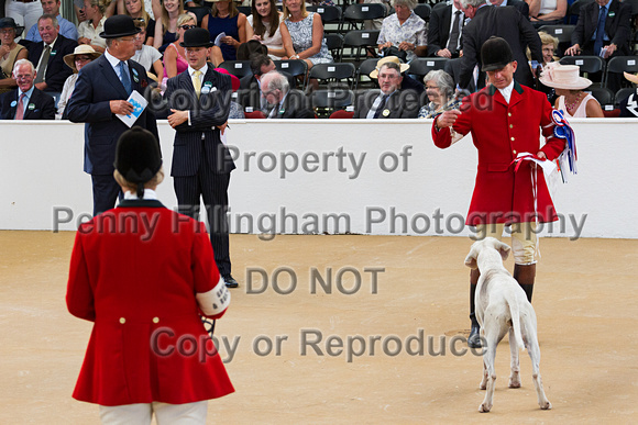 Festival_of_Hunting_Peterborough_16th_July_2014.236
