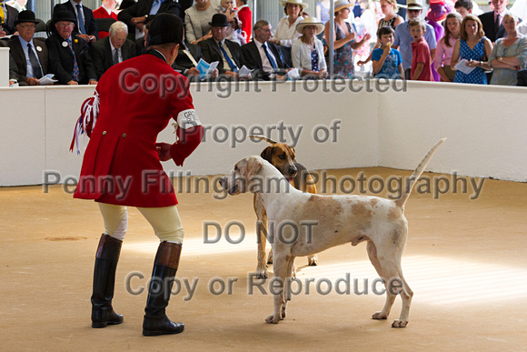 Festival_of_Hunting_Peterborough_16th_July_2014.071