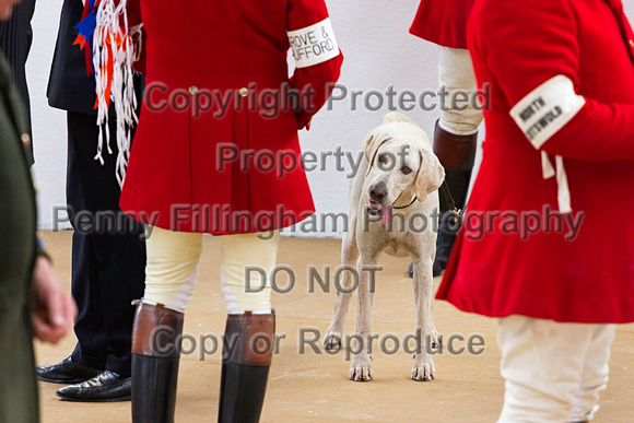 Festival_of_Hunting_Peterborough_16th_July_2014.237