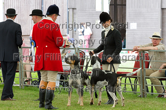 Festival_of_Hunting_Peterborough_16th_July_2014.158