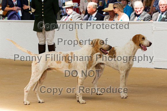 Festival_of_Hunting_Peterborough_16th_July_2014.032
