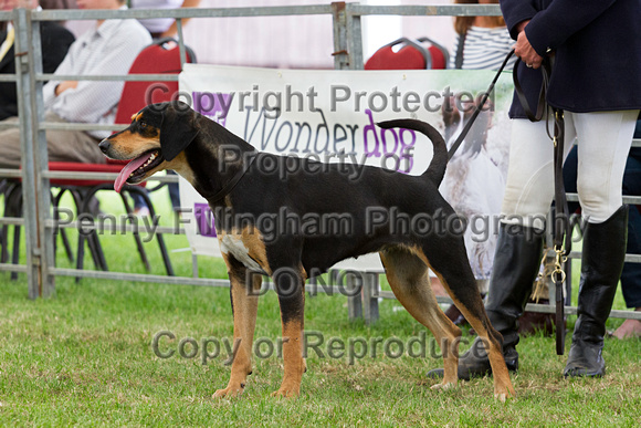 Festival_of_Hunting_Peterborough_16th_July_2014.203