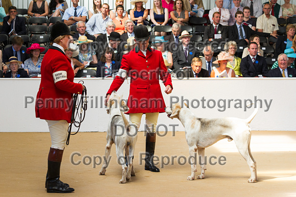 Festival_of_Hunting_Peterborough_16th_July_2014.050