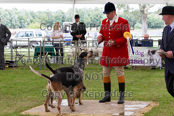 Festival_of_Hunting_Peterborough_16th_July_2014.157