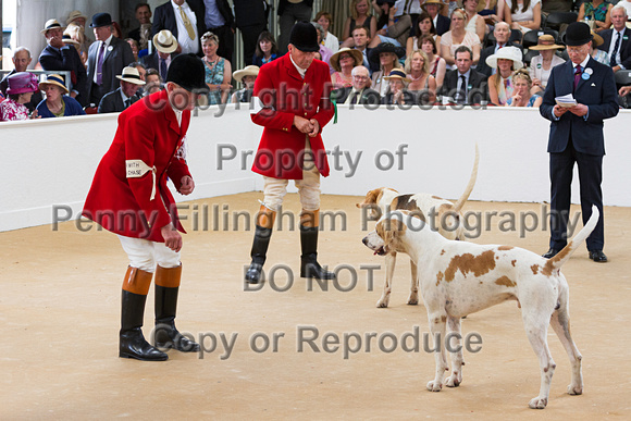 Festival_of_Hunting_Peterborough_16th_July_2014.150