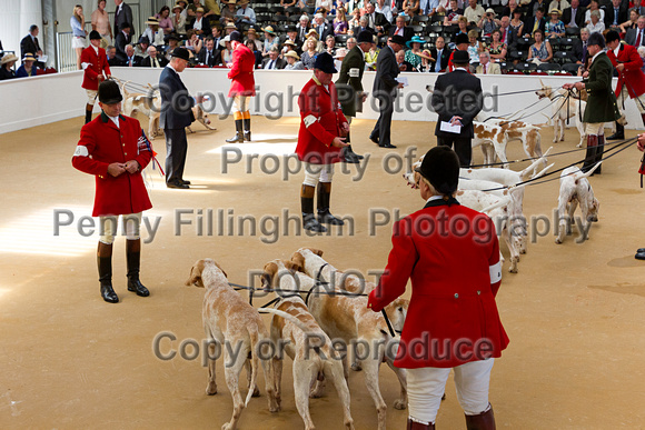 Festival_of_Hunting_Peterborough_16th_July_2014.103