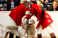 Festival of Hunting, Peterborough (16th July 2014)