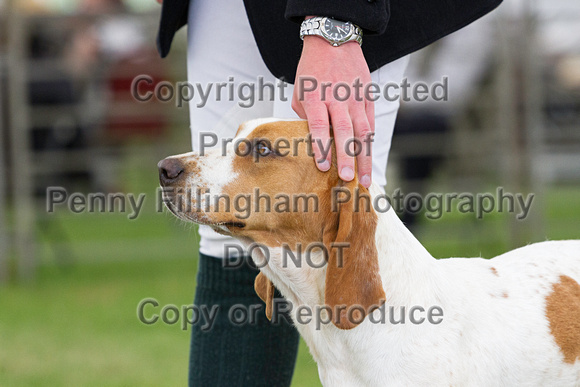 Festival_of_Hunting_Peterborough_16th_July_2014.173