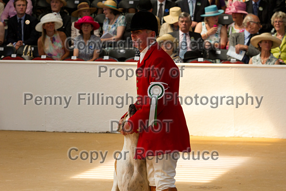 Festival_of_Hunting_Peterborough_16th_July_2014.082