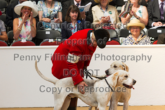 Festival_of_Hunting_Peterborough_16th_July_2014.056