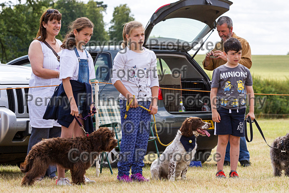 Grove_and_Rufford_Show_Child_Handler_18th_July_2015_015