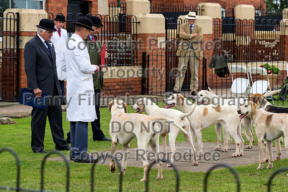 Grove_and_Rufford_Puppy_Show_15th_June_2019_092