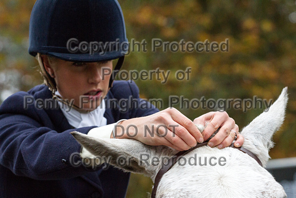 Grove_and_Rufford_Caunton_27th_Oct_2015_005