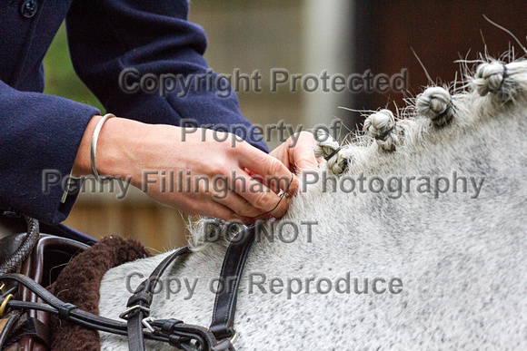 Grove_and_Rufford_Caunton_27th_Oct_2015_002