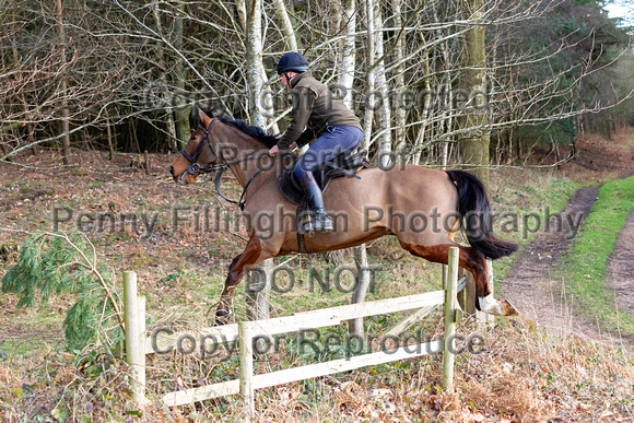 Grove_and_Rufford_Ride_Thoresby_24th_Feb_2024_047