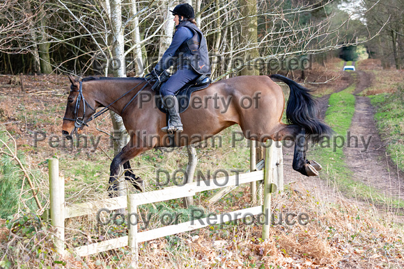 Grove_and_Rufford_Ride_Thoresby_24th_Feb_2024_062