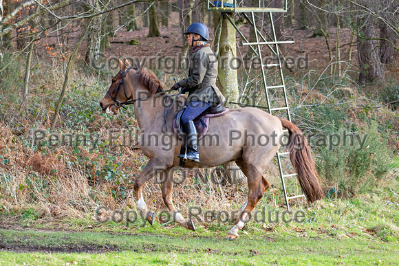 Grove_and_Rufford_Ride_Thoresby_24th_Feb_2024_063