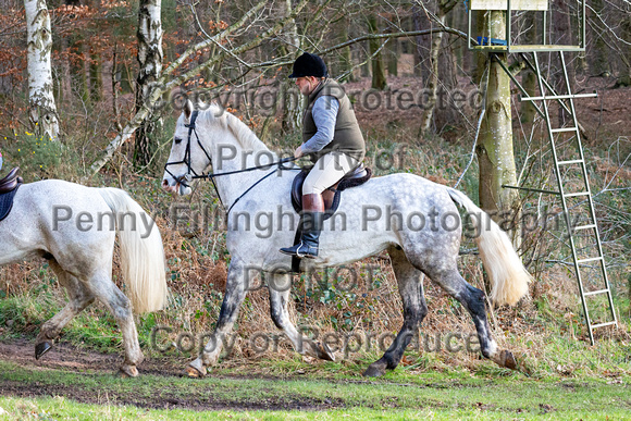 Grove_and_Rufford_Ride_Thoresby_24th_Feb_2024_070