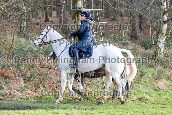 Grove_and_Rufford_Ride_Thoresby_24th_Feb_2024_073