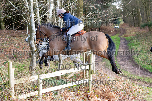 Grove_and_Rufford_Ride_Thoresby_24th_Feb_2024_091