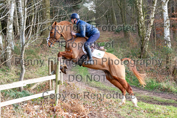 Grove_and_Rufford_Ride_Thoresby_24th_Feb_2024_099