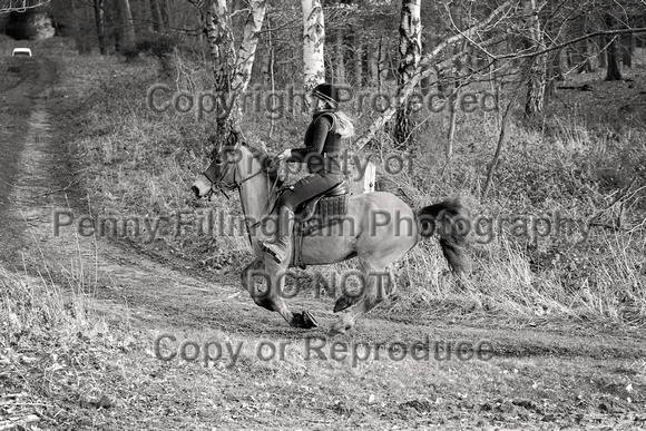 Grove_and_Rufford_Ride_Thoresby_24th_Feb_2024_056
